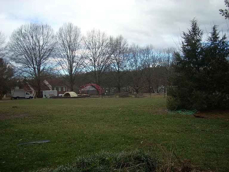 Common Area behind the house