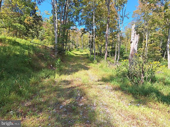 5th image of Tiger Valley Rd
