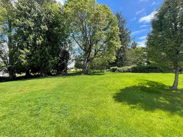 Expansive lawn with mature trees providing natural shade and privacy