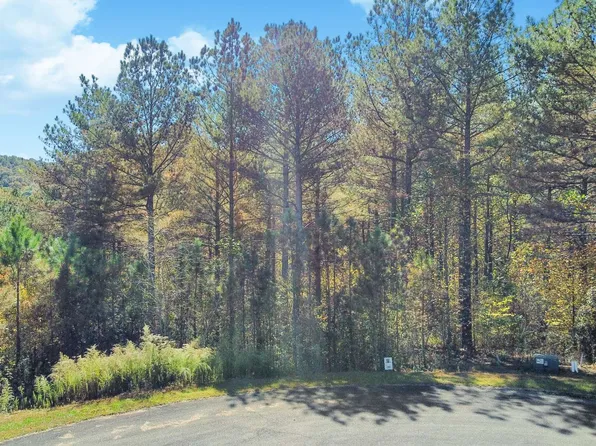 LOT 10 Eastview Trl, Ellijay, GA 30536