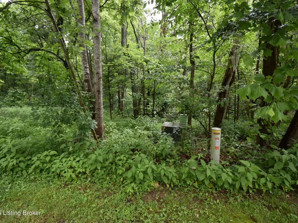 1004 High Pine Ct, Boston, KY 40107