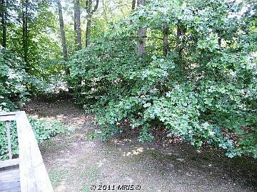 3rd image of 6613 Plantation Forest Dr