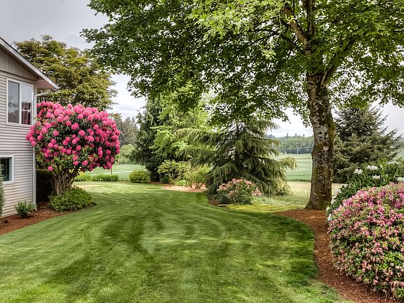 Side yard
