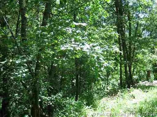 4th image of K&j Summer Homesite Plat #2-25A