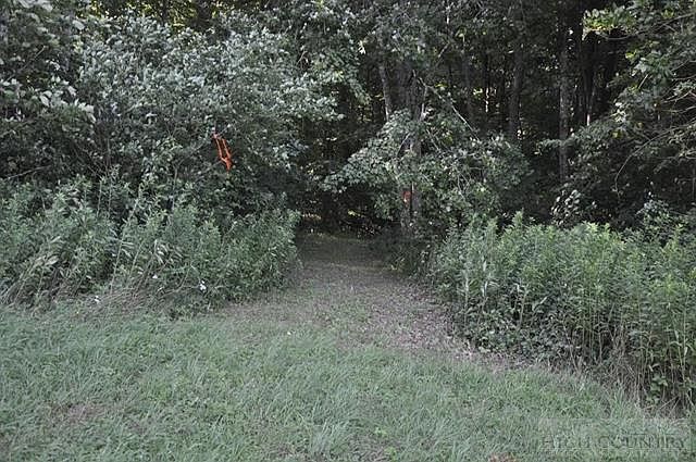 2nd image of Tbd Ridge Road