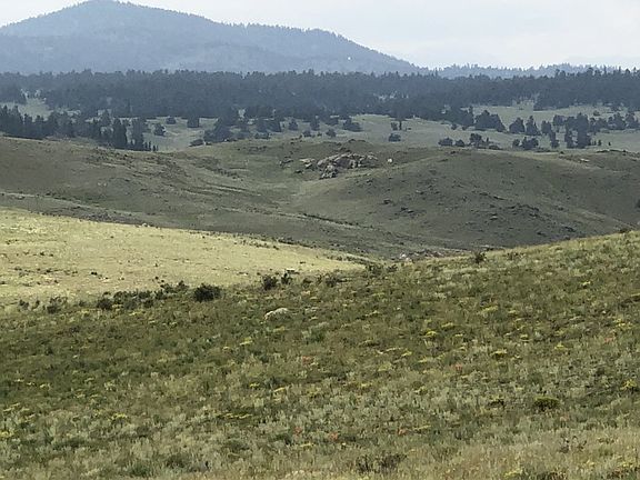 5th image of 00 Lobo Avenue