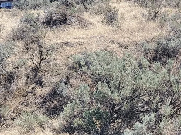 41 Cliff St, Umatilla, OR 97882