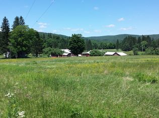 608 County Highway 51, Morris, NY 13808