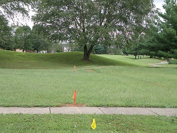 3rd image of 10505 Glenmary Farm Dr #1