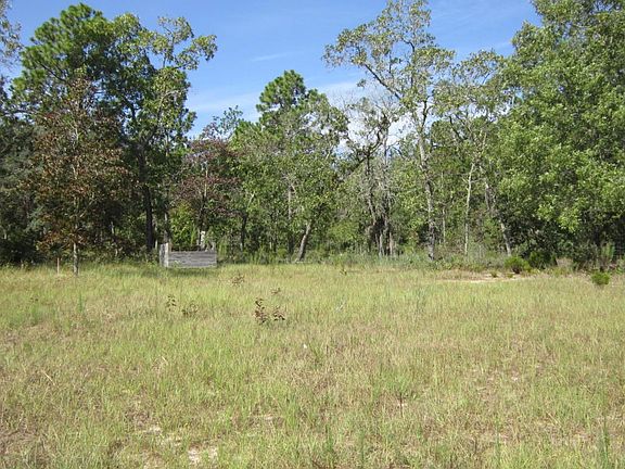 backside of property