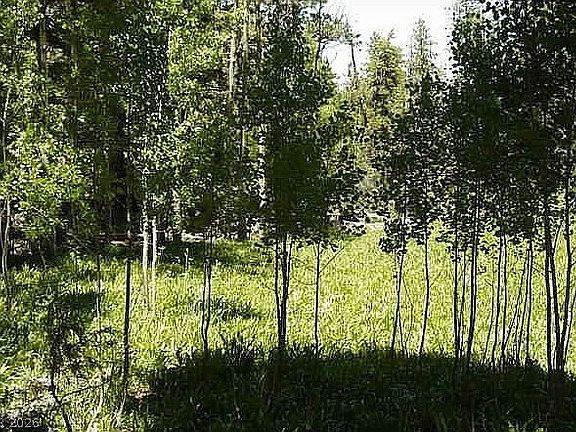 4th image of Deer Ct