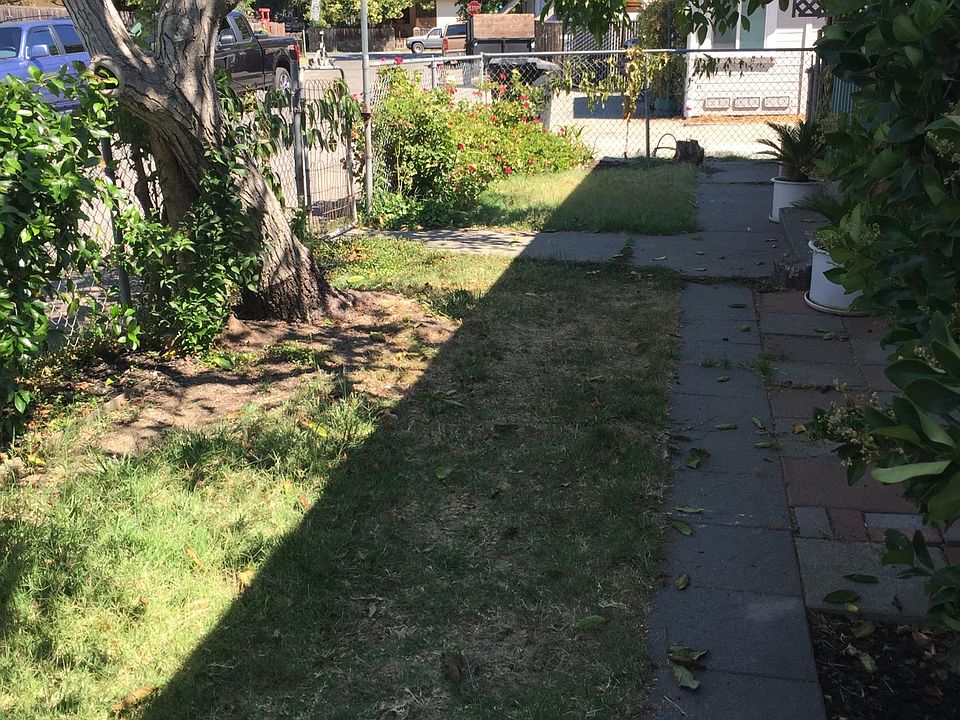 Front yard