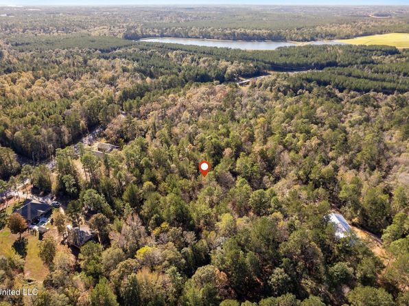 Old Okahola School Rd, Purvis, MS 39475