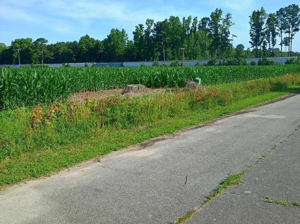 289 Grists Rd Lot 286-289-290, Chadbourn, NC 28431