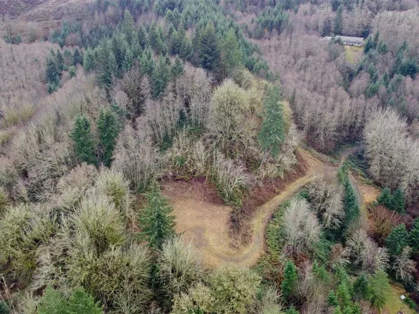 275 Trout Lakes Road, Castle Rock, WA 98611