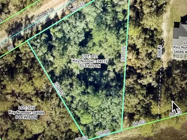 Lewis Ln #11, Webster, FL 33597