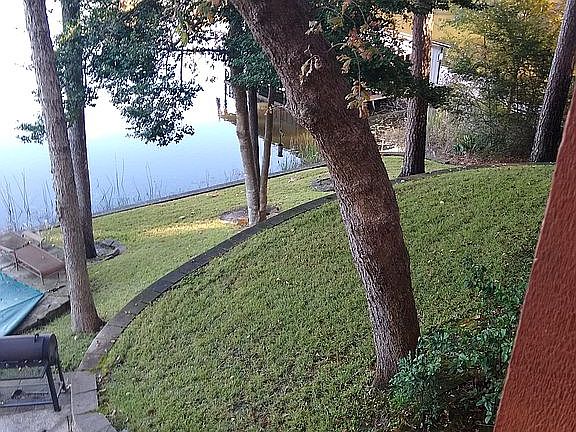Back yard