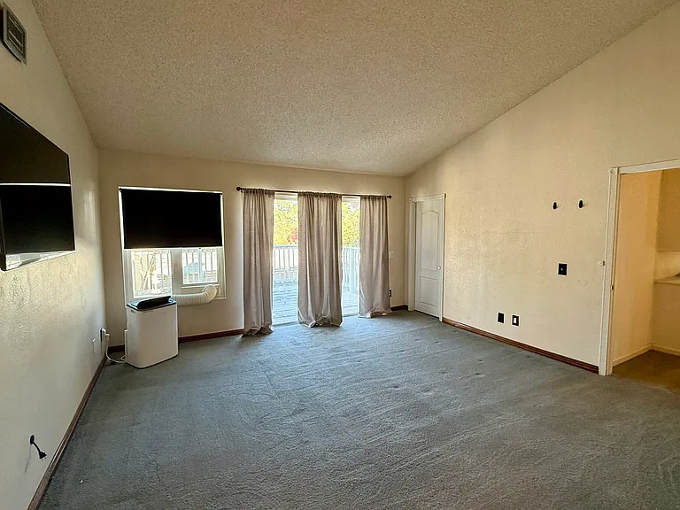 33242 Willow Tree Ln — Photo 11