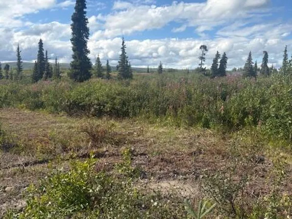 51384 S Summit Loop, Sutton, AK 99674