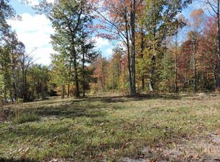 870 Briley Rd, Spring City, TN 37381