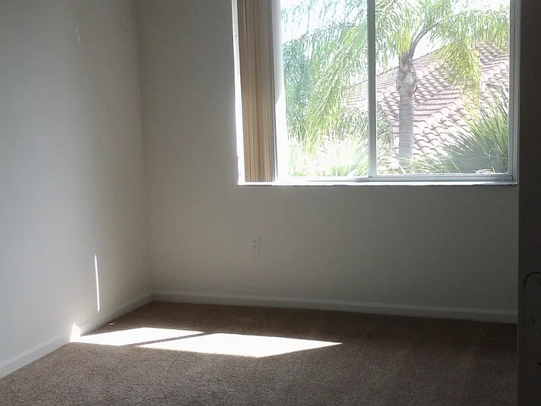 The Mirage Apartments — Photo 7