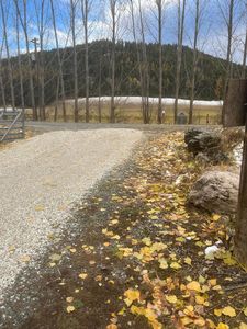 1922 Blue Creek Rd, Addy, WA, 99101