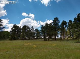 33 Powderhorn Ln, Guffey, CO 80820