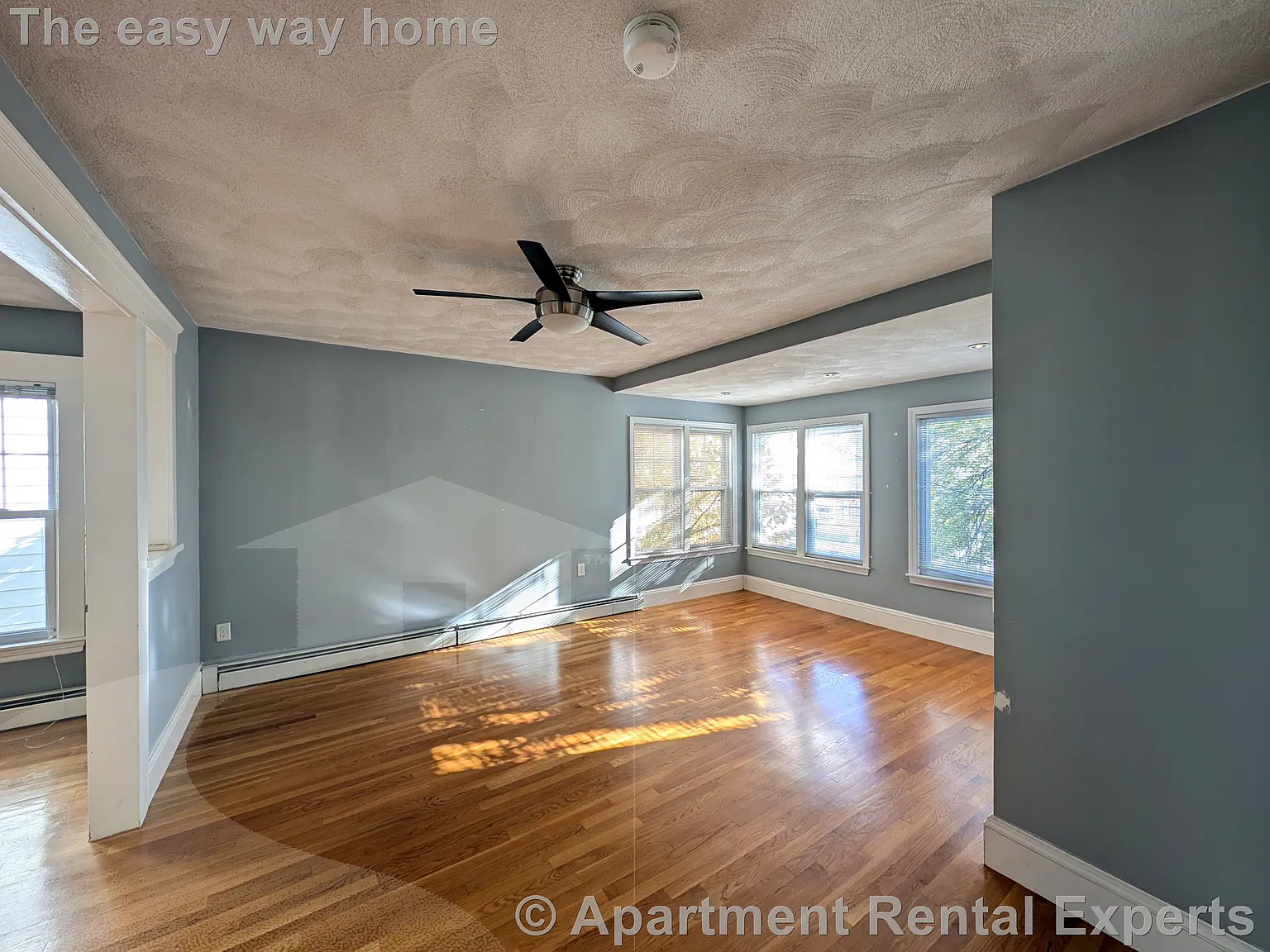 1 bed, $3,000 — Photo 2