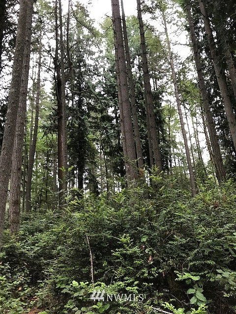 1st image of 11407 Leschi Circle   (11403, 11411)