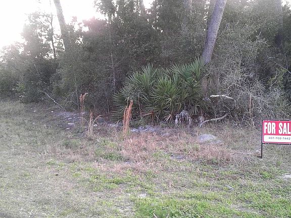 2nd image of Bougainvillia Ave