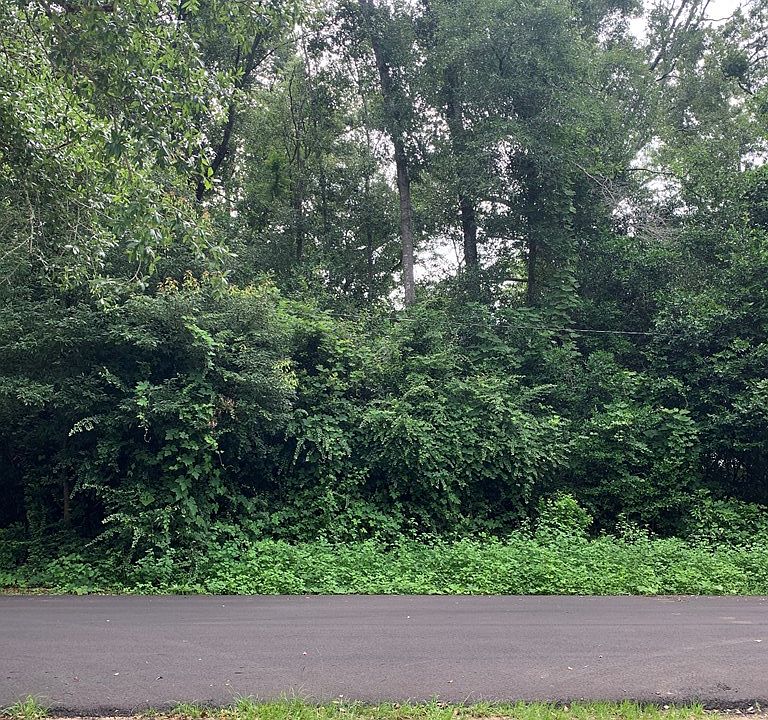 2nd image of 519 New St