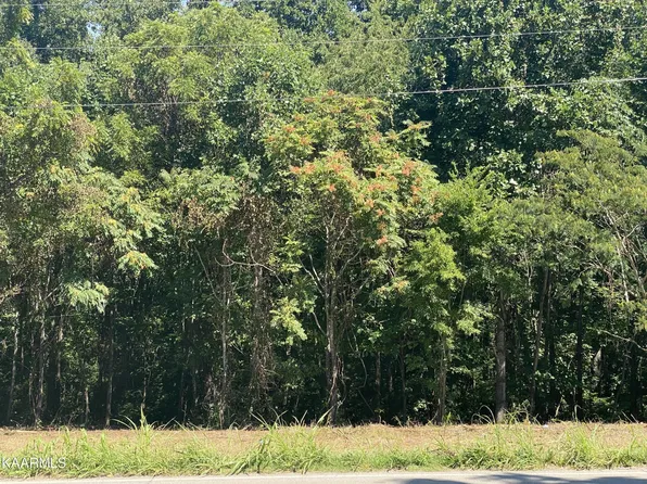 0 Big Springs Rd Lot 9, Maryville, TN 37801
