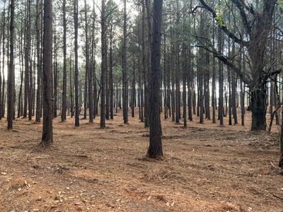 N Highway 23, Ozark, AR, 72949