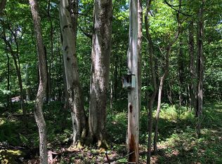 Poplar Ln, Tionesta, PA 16353