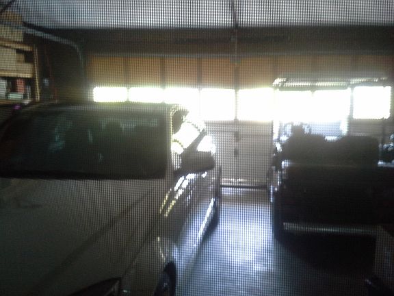 2nd image of 402 Dogwood Cir