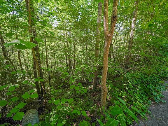 2nd image of 33 Ownby Cir Lot 33