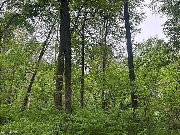 2nd image of Wesley Chapel