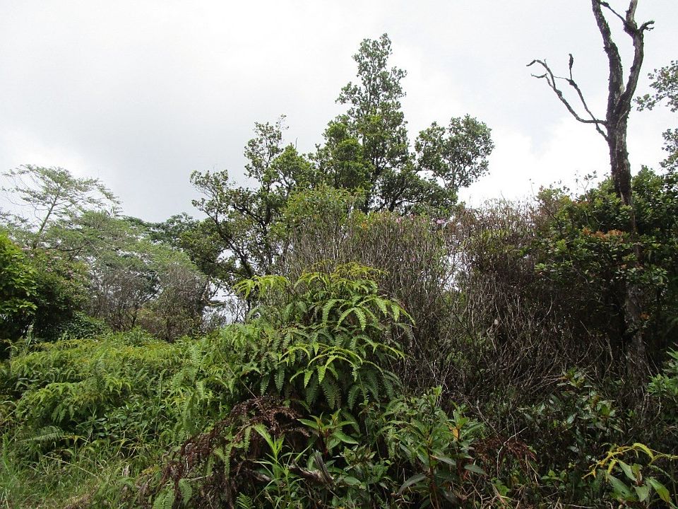 2nd image of Alaili Rd Lot 2-B