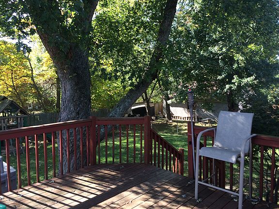 Back yard 