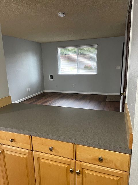 view from kitchen into living room