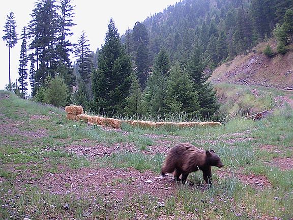 2nd image of Nhn Mulkey Gulch