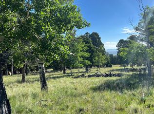 9430 Ranch Road Road, Hartsel, CO 80449