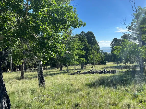 9430 Ranch Road Road, Hartsel, CO 80449