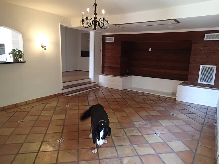 2047 Ivar Ave — Photo 2