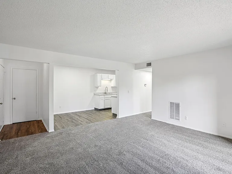 Spring Hill Plaza Apartments — Photo 29
