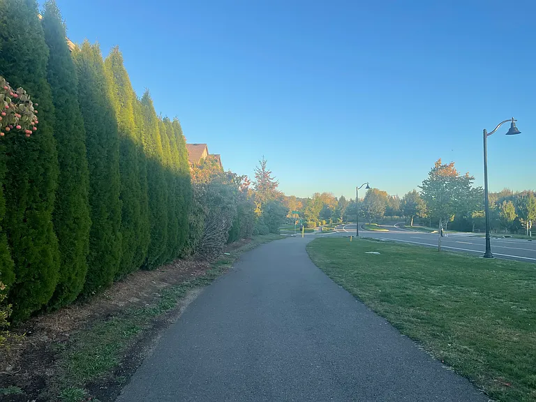 Path next to backside of house