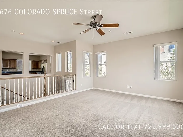 6676 Colorado Spruce St — Photo 6