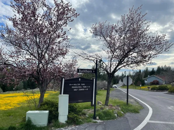 386 Buckthorn Dr, Murphys, CA 95247
