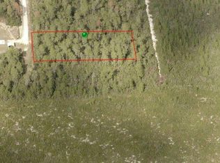 8045 Gabriel Point, Dunnellon, FL 34433