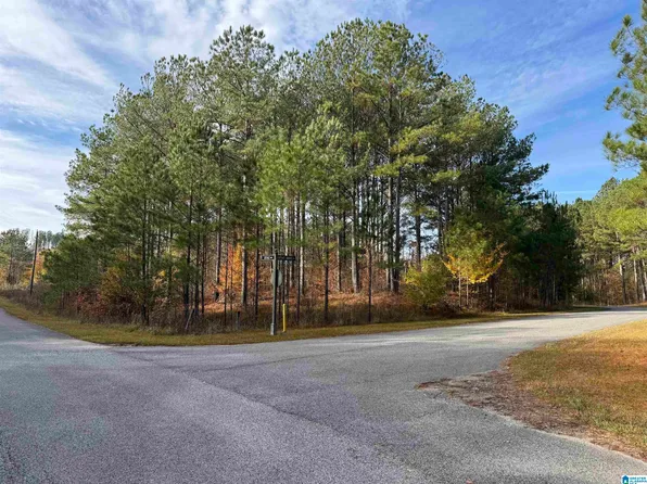 Cottage Square Loop #319, Sylacauga, AL 35151